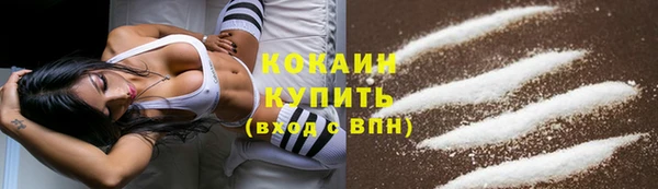 мдпв Горно-Алтайск