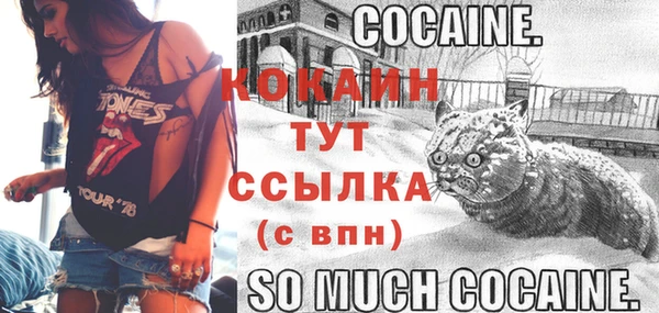 таблы Горняк