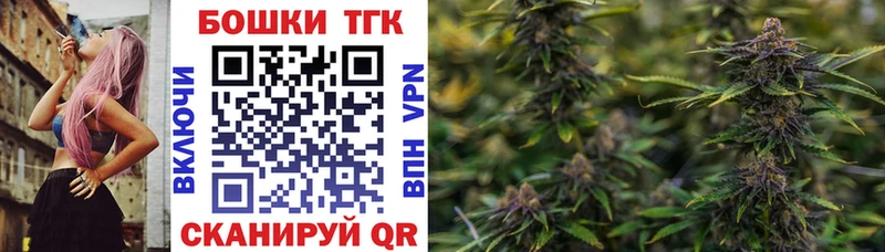 Конопля гибрид  как найти закладки  KRAKEN tor  Новочебоксарск 